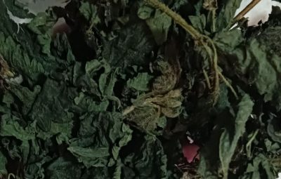 Крапива (сушеная)